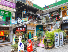 国内猫咪主题博物馆在哪 猫咪主题博物馆有多少种类的猫 国内猫咪主题博物馆在哪 猫咪主题博物馆有多少种类的猫