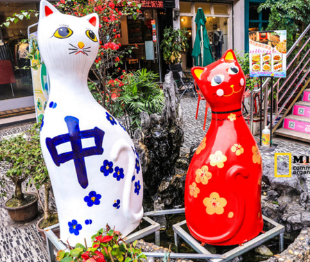 国内猫咪主题博物馆在哪 猫咪主题博物馆有多少种类的猫 国内猫咪主题博物馆在哪 猫咪主题博物馆有多少种类的猫