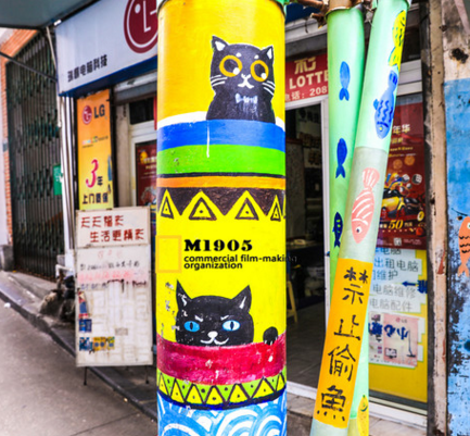 国内猫咪主题博物馆在哪 猫咪主题博物馆有多少种类的猫 国内猫咪主题博物馆在哪 猫咪主题博物馆有多少种类的猫