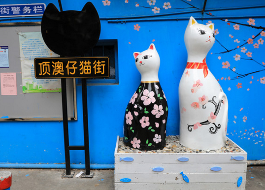 国内猫咪主题博物馆在哪 猫咪主题博物馆有多少种类的猫 国内猫咪主题博物馆在哪 猫咪主题博物馆有多少种类的猫