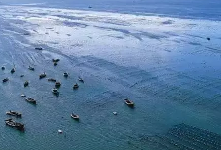 大连赶海哪里好 大连赶海攻略 大连赶海哪里好 大连赶海攻略