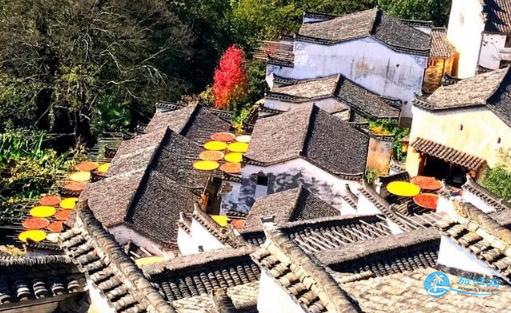 篁岭景区在哪里 篁岭怎么去 篁岭景区在哪里 篁岭怎么去