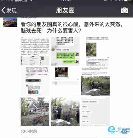 中国导游在泰国营救游客被大象踩死责任赔偿最新消息 中国导游在泰国营救游客被大象踩死责任赔偿最新消息