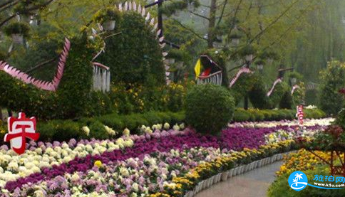 2018重庆南山植物园门票价格+优惠政策+官网 2018重庆南山植物园门票价格+优惠政策+官网