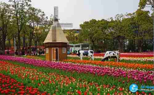 2018大宁灵石公园郁金香展时间+门票价格+交通攻略 2018大宁灵石公园郁金香展时间+门票价格+交通攻略
