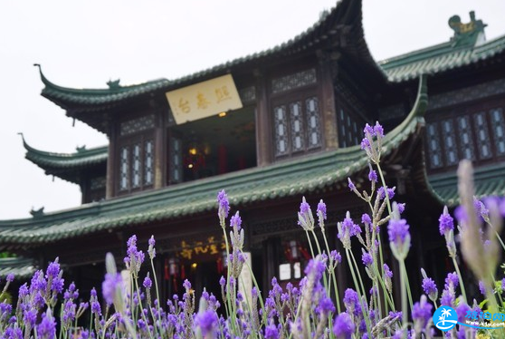 2018扬州瘦西湖门票价格+交通+游览路线+景点 2018扬州瘦西湖门票价格+交通+游览路线+景点
