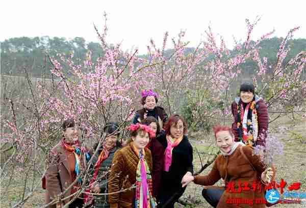 2018三峡枝江桃花艺术节要门票吗(地址+时间) 2018三峡枝江桃花艺术节要门票吗(地址+时间)