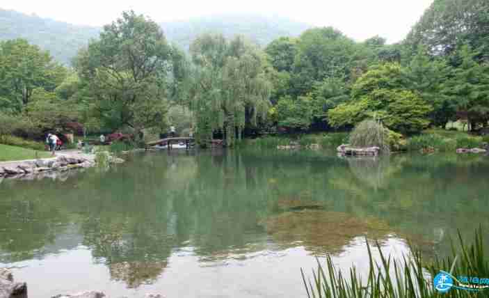杭州看花的地方有哪些 杭州周边看花海的地方推荐 杭州看花的地方有哪些 杭州周边看花海的地方推荐