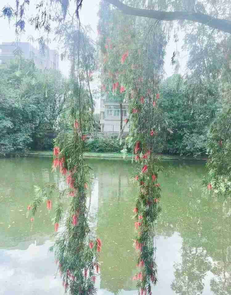 深圳荔枝公园在哪个地铁站 荔枝公园地铁站几号线 深圳荔枝公园在哪个地铁站 荔枝公园地铁站几号线