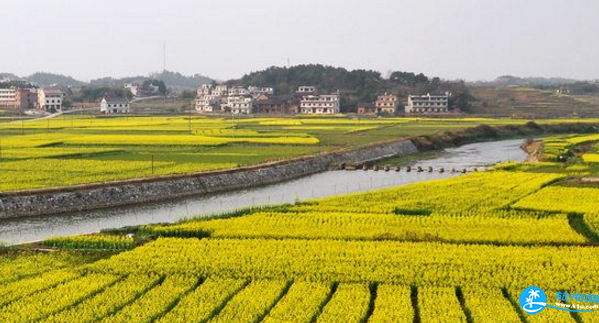 2018双峰油菜花节时间+地点+交通 2018双峰油菜花节时间+地点+交通