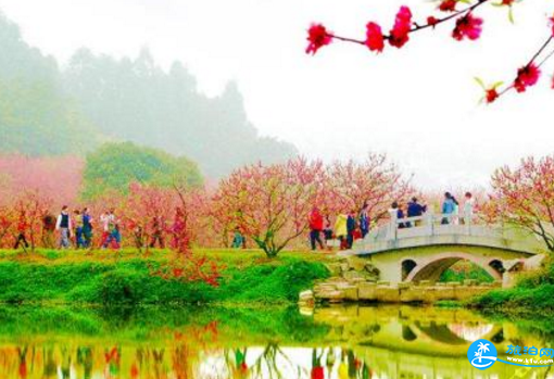 2018佛山南国桃园门票+交通+美食