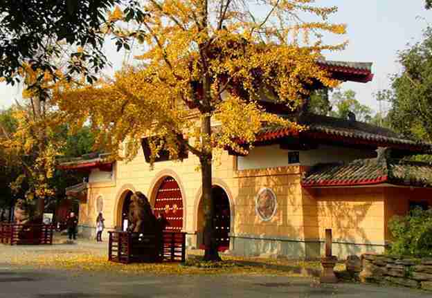 永陵博物馆开放时间+门票+地址+交通指南