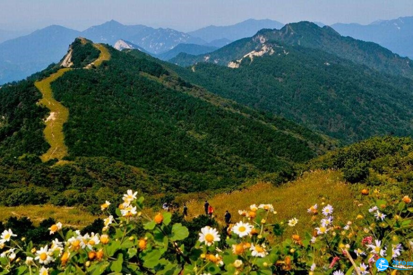 黄冈旅游年卡2018 黄冈旅游一票通景点大全+价格+地址 黄冈旅游年卡2018 黄冈旅游一票通景点大全+价格+地址