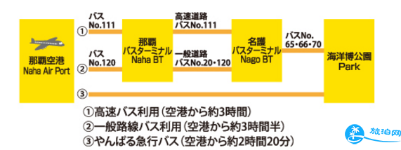 冲绳海洋博公园怎么去 冲绳海洋博公园旅游交通攻略 冲绳海洋博公园怎么去 冲绳海洋博公园旅游交通攻略