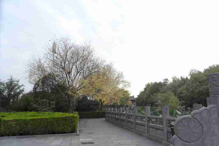 白马寺门票多少钱2018+优惠政策 白马寺门票多少钱2018+优惠政策