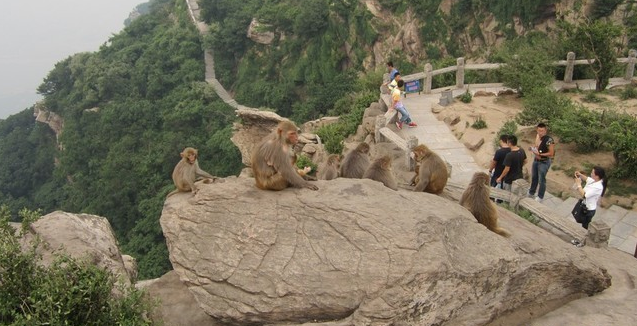 国内有哪些坑爹的旅游景点 国内有哪些坑爹的旅游景点