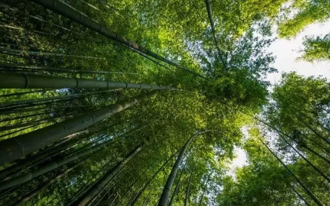 重庆周边哪里有避暑的景点推荐2018 重庆周边哪里有避暑的景点推荐2018