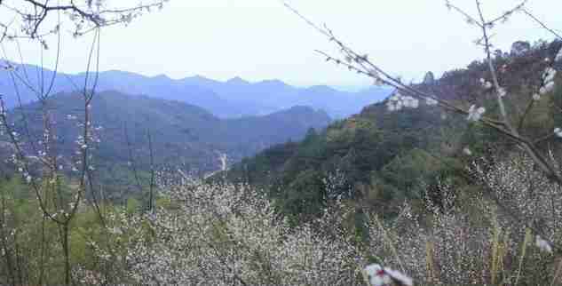 长沙县有哪些适合爬山的地方