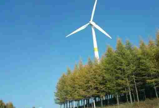 张家口张北草原和坝上草原哪个更好玩 张家口张北草原和坝上草原哪个更好玩