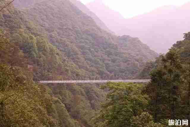 安徽5d玻璃桥在哪里 醉山野醉仙谷玻璃桥游玩视频