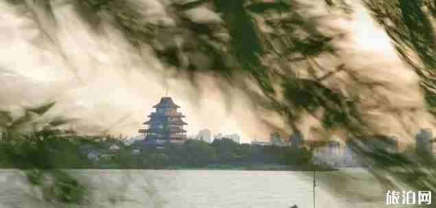杭州西湖和苏州金鸡湖哪个更好玩 杭州西湖和苏州金鸡湖哪个更好玩