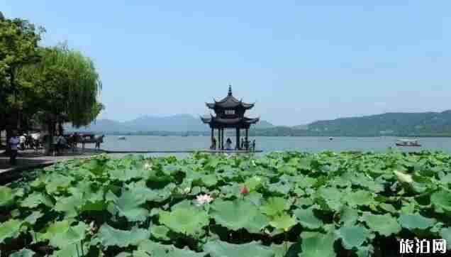 杭州西湖和苏州金鸡湖哪个更好玩 杭州西湖和苏州金鸡湖哪个更好玩
