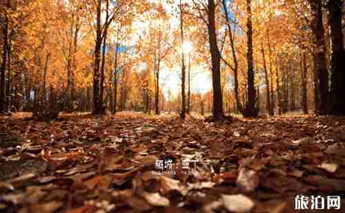稻城亚丁几月份去最好 稻城亚丁几月份去最好