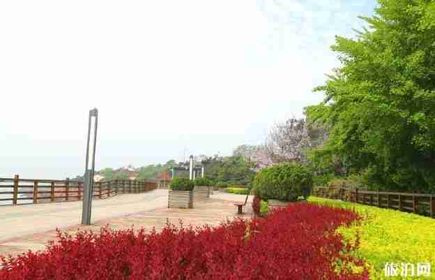 青岛第一海水浴场在哪(地址+门票+开放时间) 青岛第一海水浴场在哪(地址+门票+开放时间)