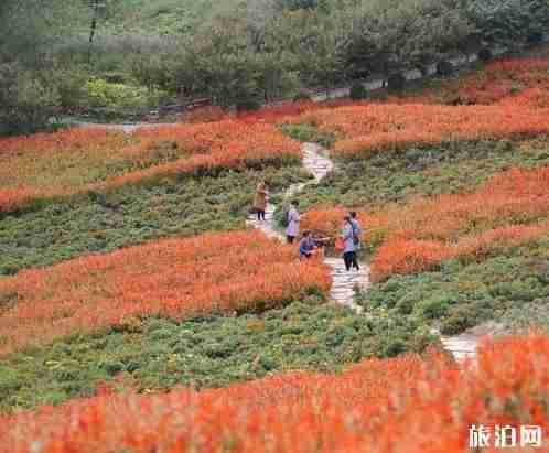 什么时候去石家庄旅游比较好 什么时候去石家庄旅游比较好