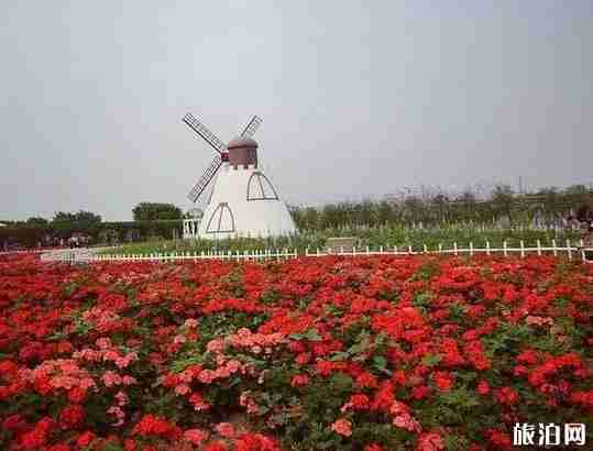 广东一家人旅游去哪里 适合一家人旅游的景点介绍