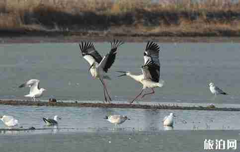 康平有什么好玩的 沈阳康平旅游攻略2018