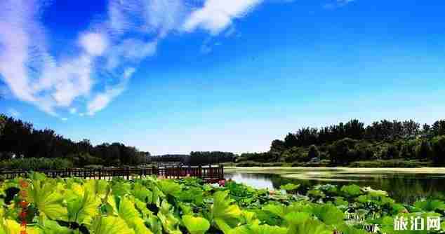 天津周边旅游景点大全 天津周边有哪些好玩的地方