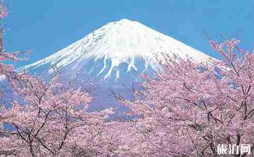 夏天可以去富士山吗 夏天去富士山合适吗 夏天可以去富士山吗 夏天去富士山合适吗