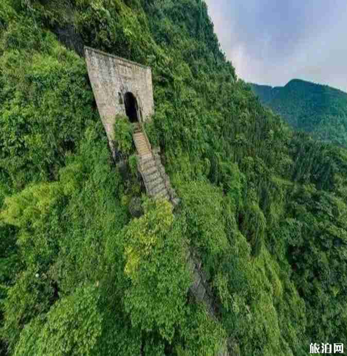 贵州有哪些景区对60岁以上的老年人免门票