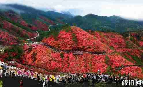 武汉腾旅旅游年卡包含哪些景点2018 武汉腾旅旅游年卡包含哪些景点2018