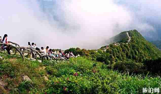 深圳旅游必去十大景点推荐 深圳旅游必去十大景点推荐