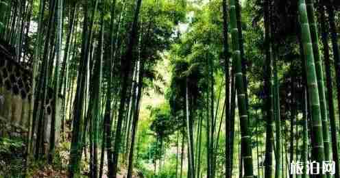八月份适合去哪里旅游好 八月份适合去哪里旅游好
