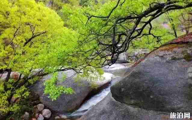 嵩县天池山门票优惠活动 嵩县天池山门票优惠活动