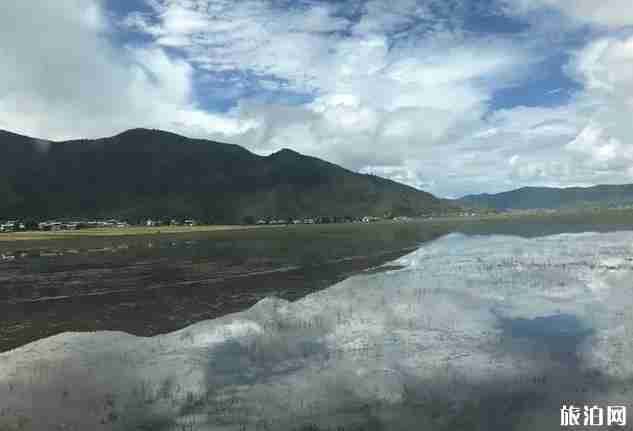 去丽江旅游跟团好还是自由行好 去丽江旅游跟团好还是自由行好