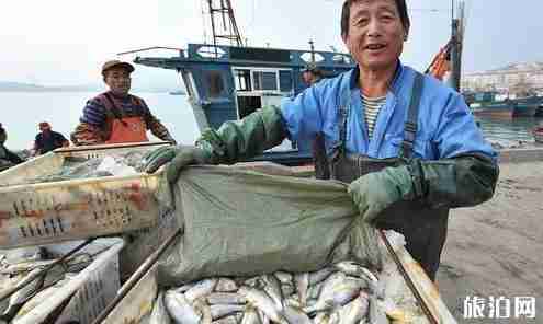 湛江吃海鲜便宜的地方 湛江吃海鲜攻略