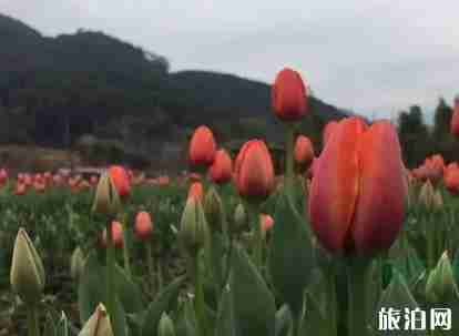 福建三明旅游推荐
