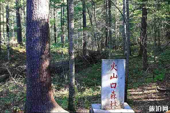 黑龙江避暑圣地有哪些 黑龙江避暑圣地有哪些