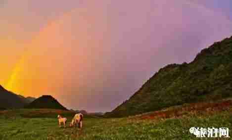 长江三峡旅游一卡通包含景点有哪些 长江三峡旅游一卡通包含景点有哪些