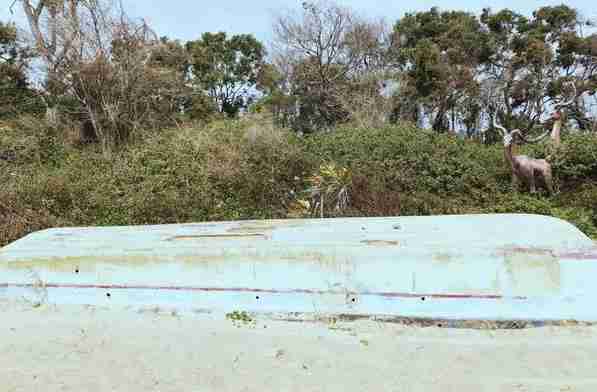 厦门网红车所在地 黄厝海滩景点介绍 厦门网红车所在地 黄厝海滩景点介绍
