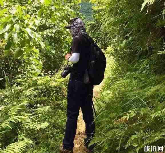 黔东南苗寨游玩线路推荐 黔东南苗寨游玩线路推荐