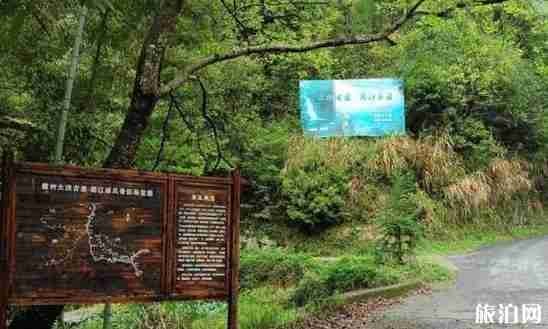 徽州古道徒步线路推荐 徽州古道徒步线路推荐
