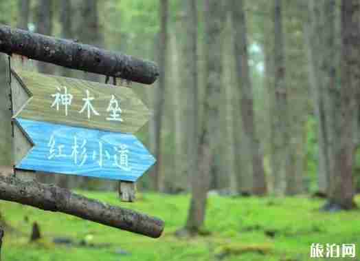 雅安宝康路 川西自驾游新通路线
