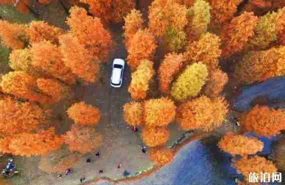 四明山有什么好玩的 四明山游玩线路介绍