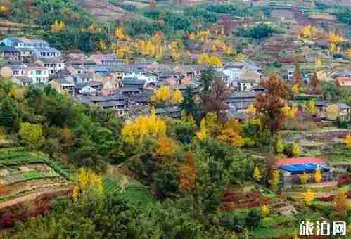 四明山有什么好玩的 四明山游玩线路介绍 四明山有什么好玩的 四明山游玩线路介绍