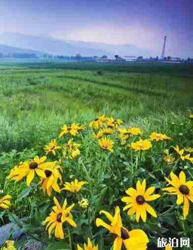 赤峰草原游玩攻略 4天行程安排 赤峰草原游玩攻略 4天行程安排